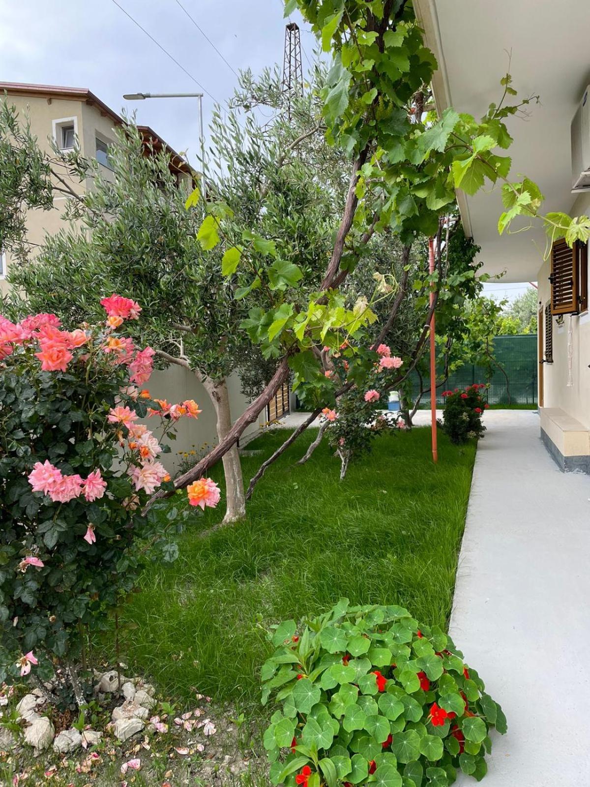 Blossom Apartments Avlonya Dış mekan fotoğraf